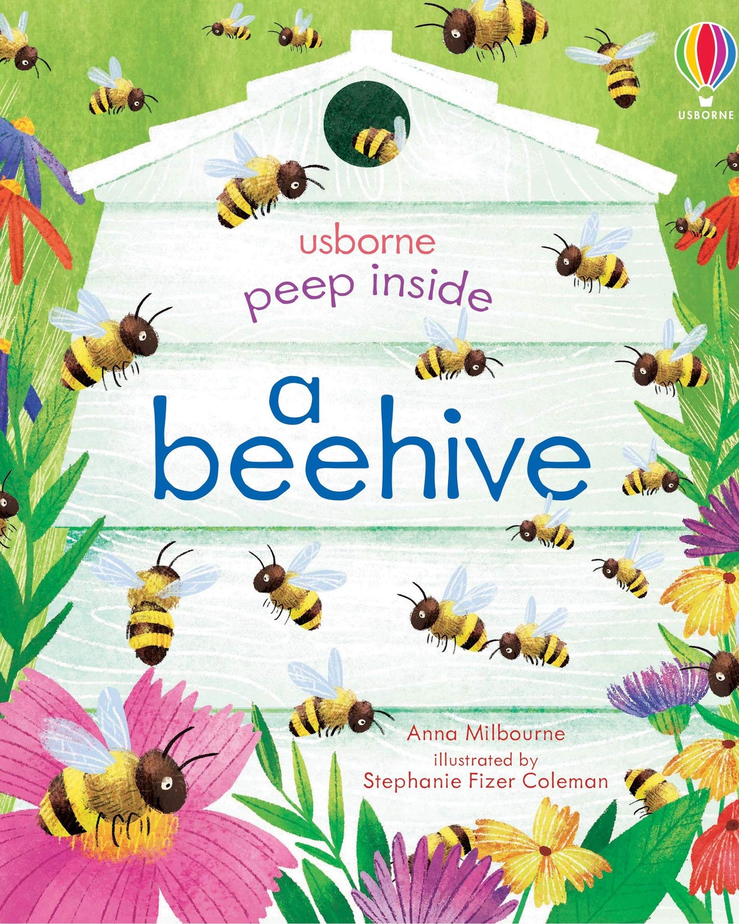 Peep Inside A Beehive
