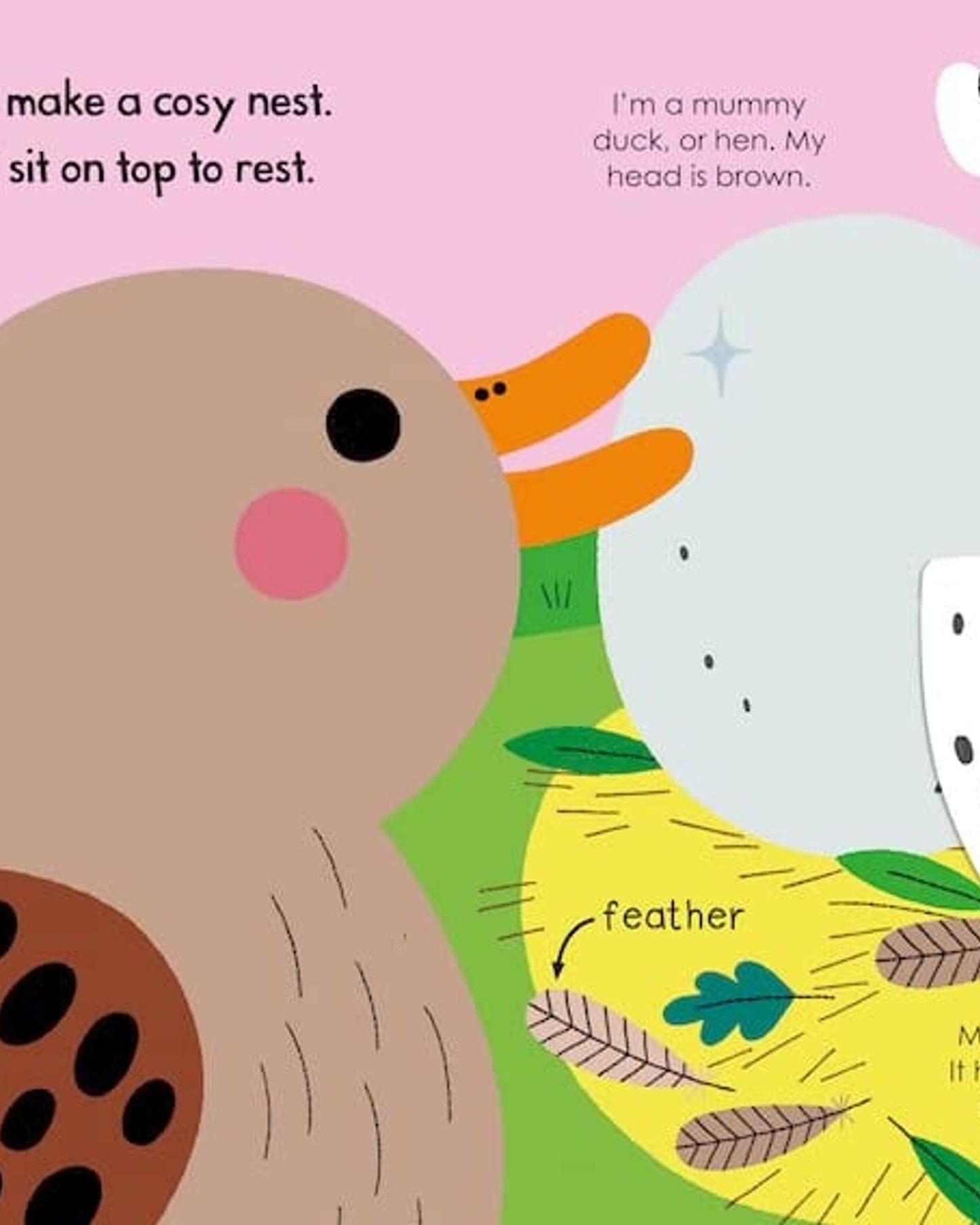 Duck