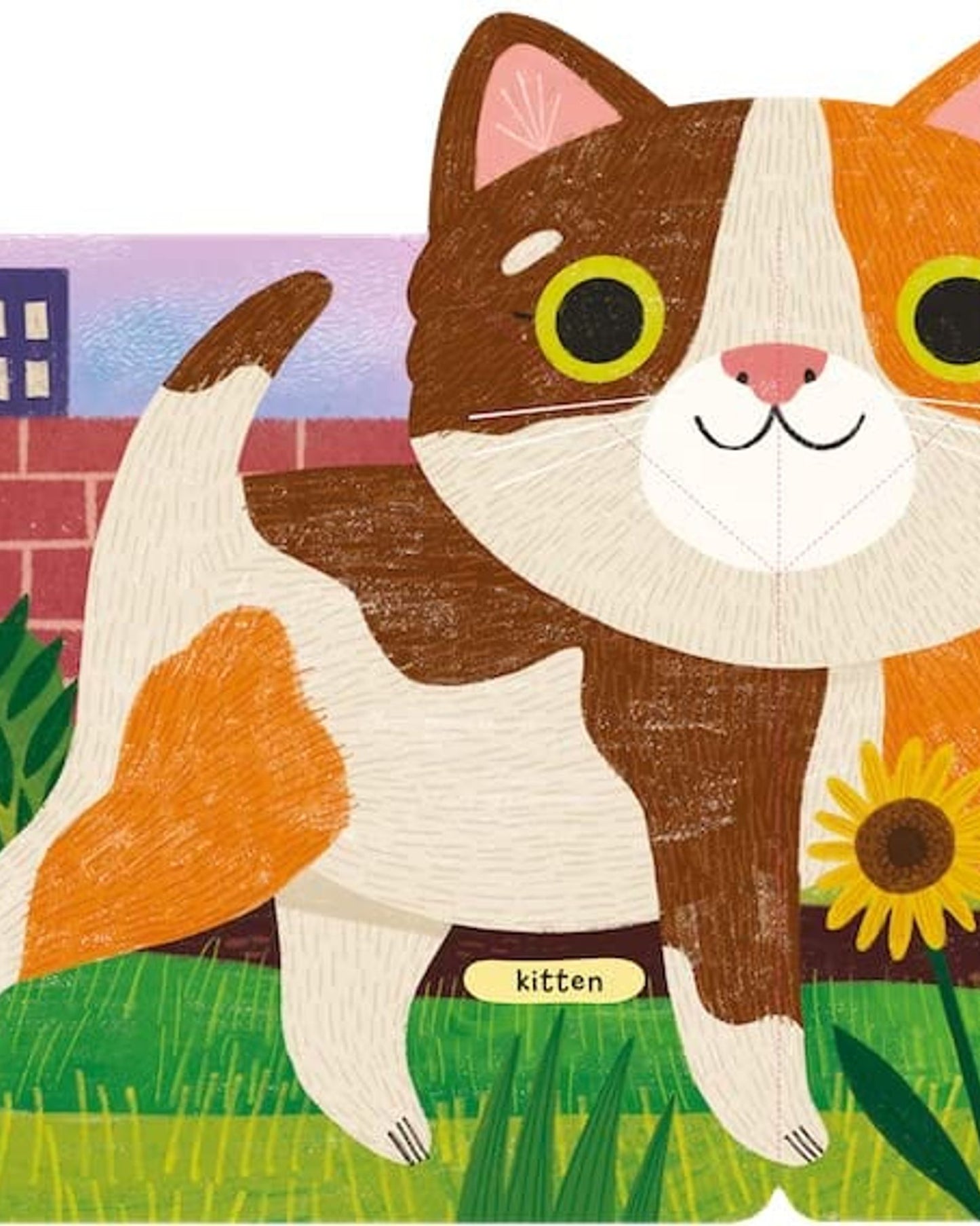Where is Little Kitten? : The lift-the-flap book with a pop-up ending!
