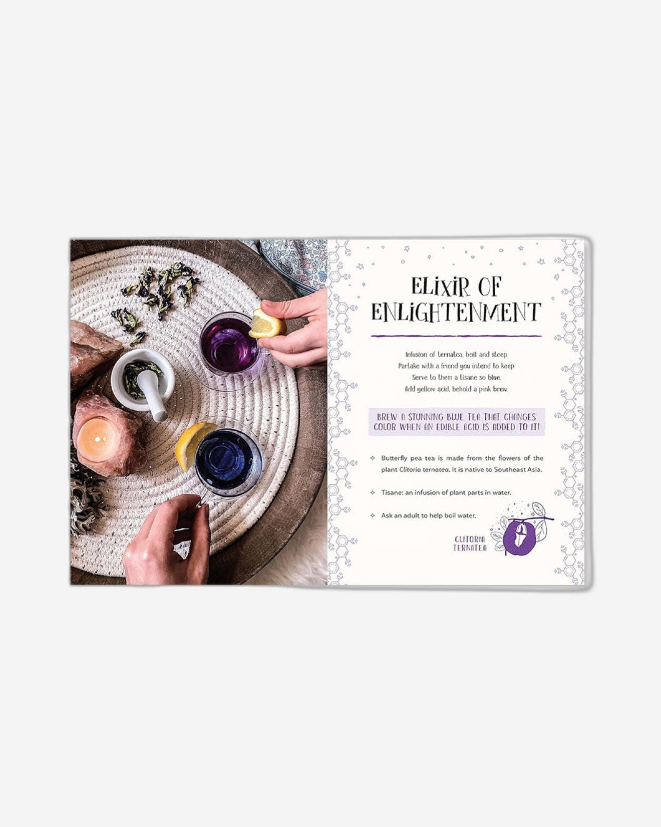 The Science Spell Book : Magical Experiments for Kids