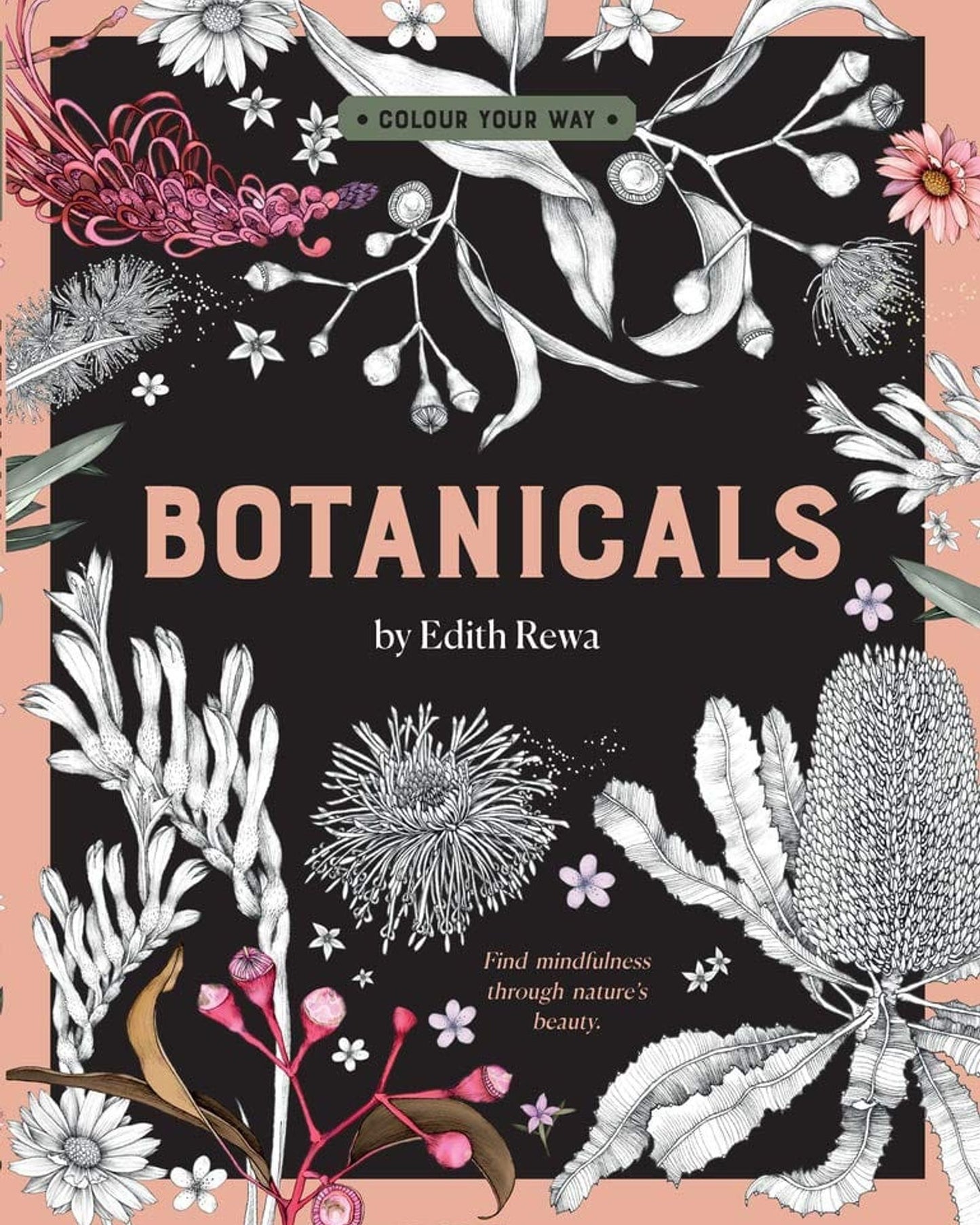 BOTANICALS BY EDITH REWA: A COLOURING BOOK