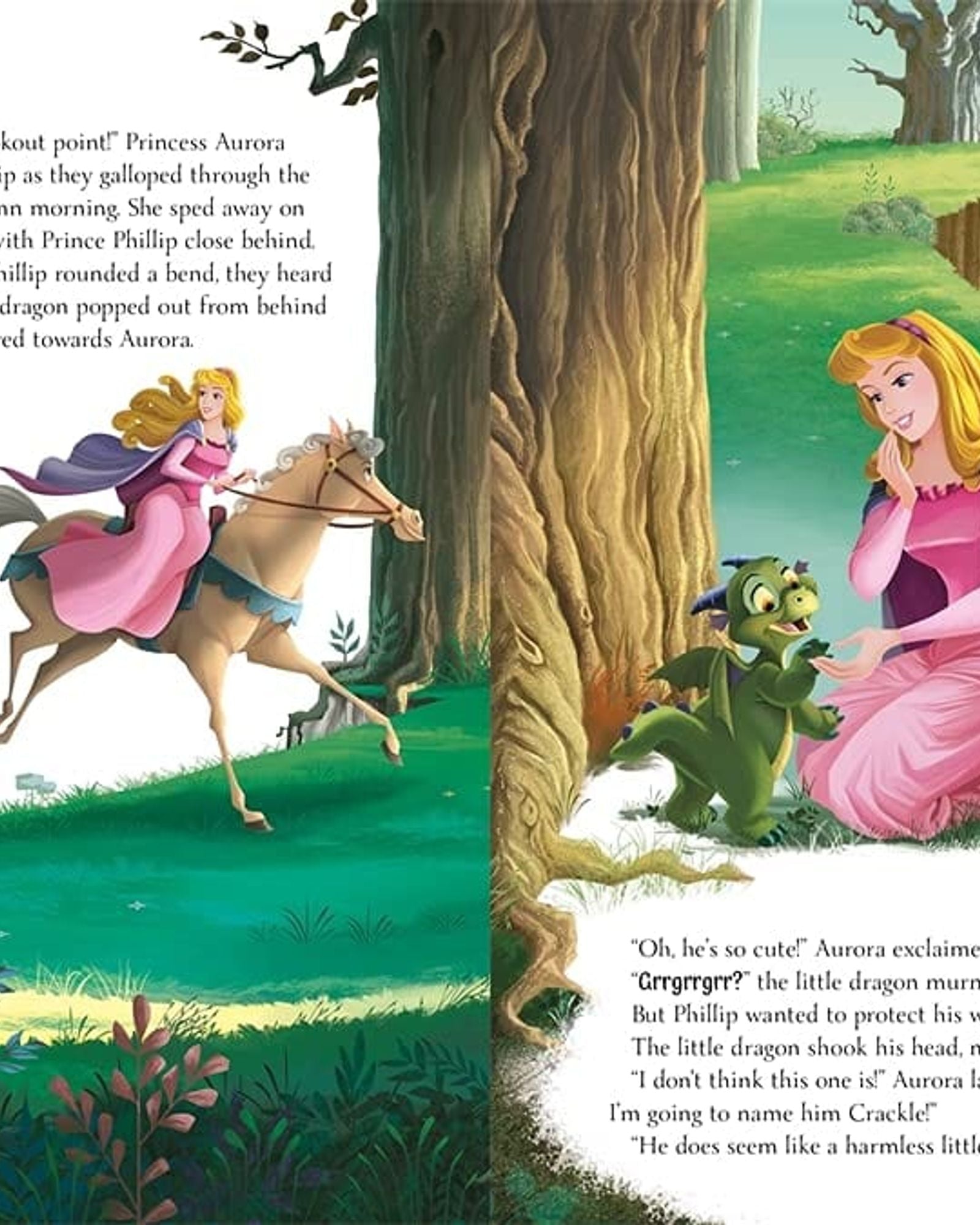 Disney Princess: A Treasury of Magical Stories