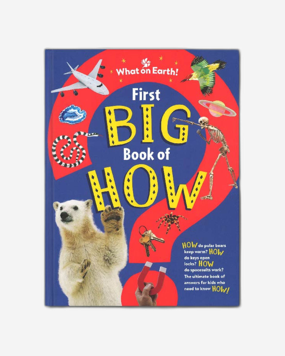First Big Book of How
