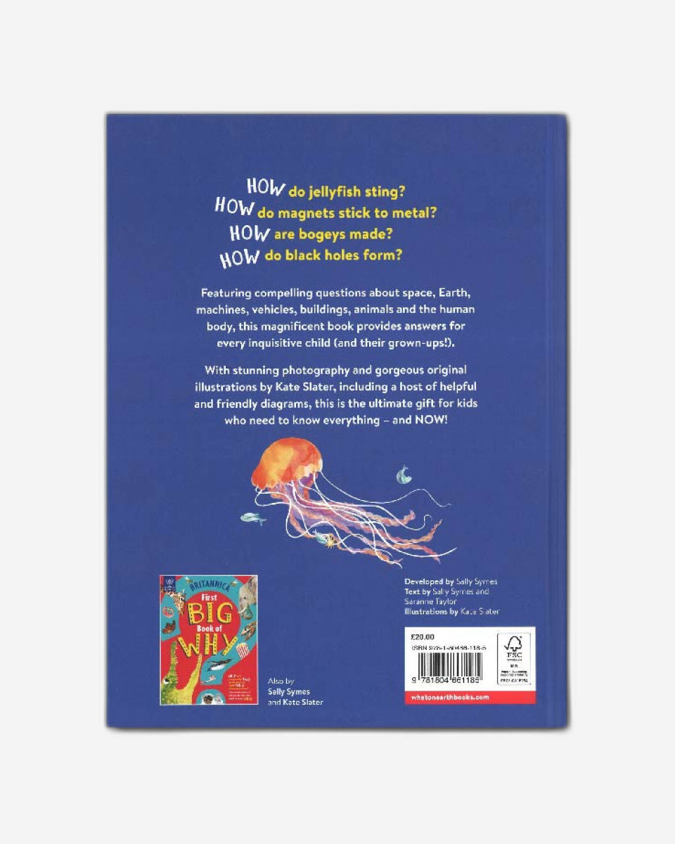 First Big Book of How