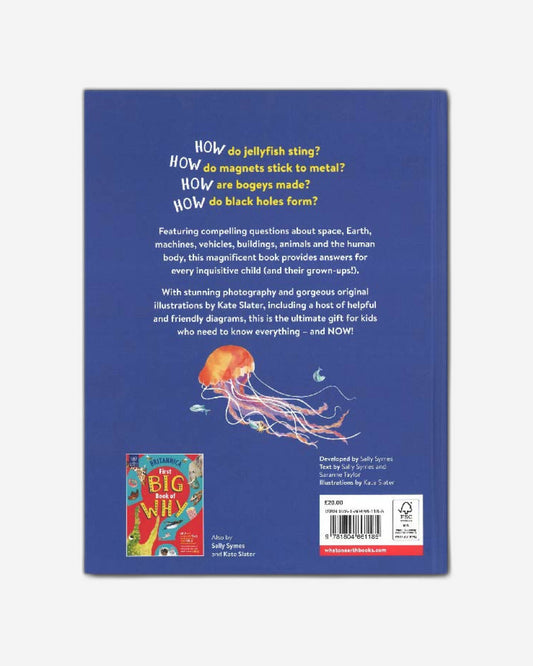 First Big Book of How