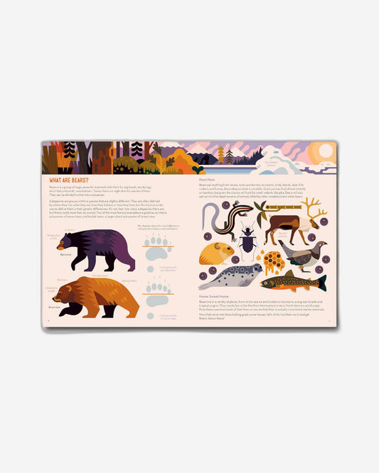 Brainy About Bears