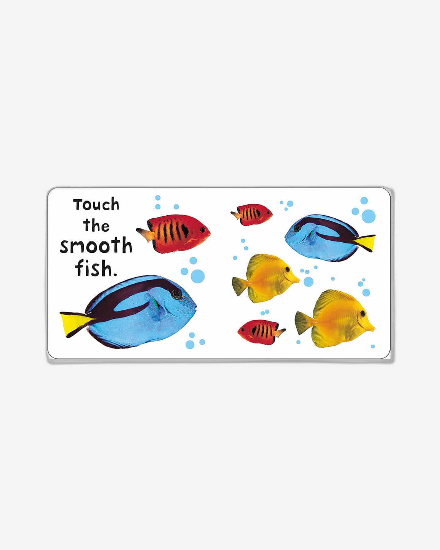 See Touch Feel Animals