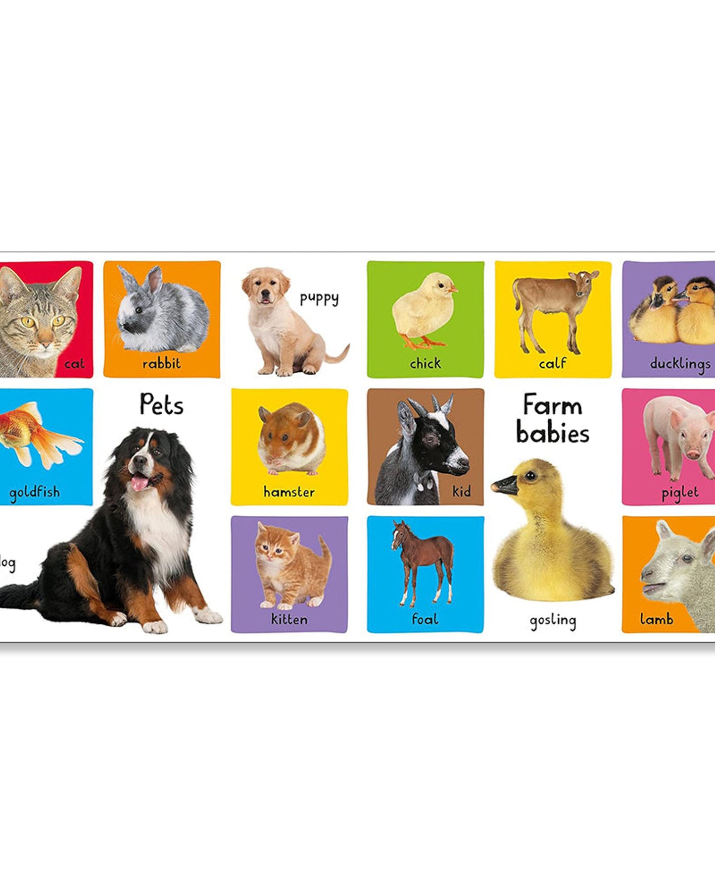 My First 100 Animals