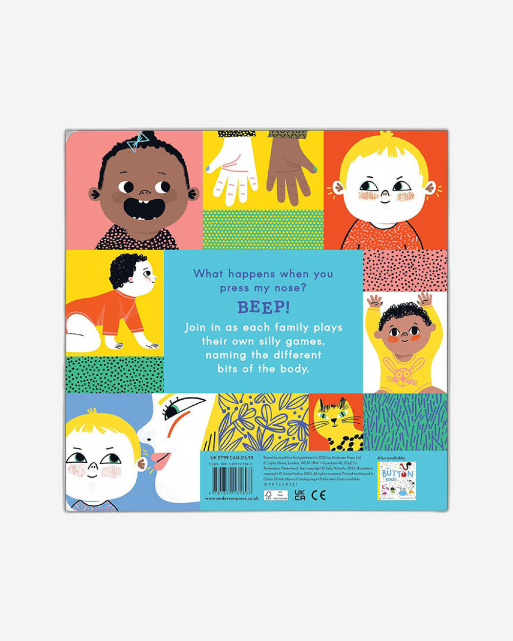 The Nose, Toes and Tummy Book : Board Book