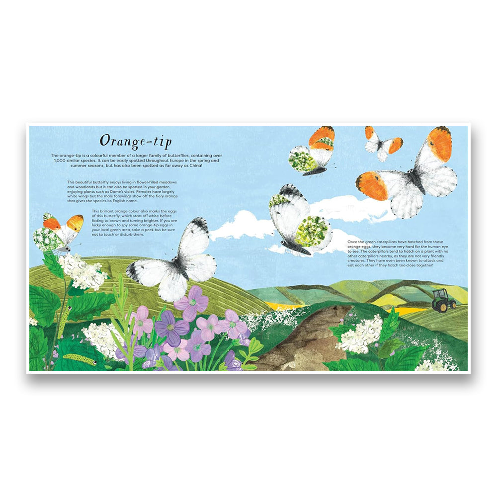National Trust: Butterfly Skies : Press out and learn about 20 beautiful butterflies