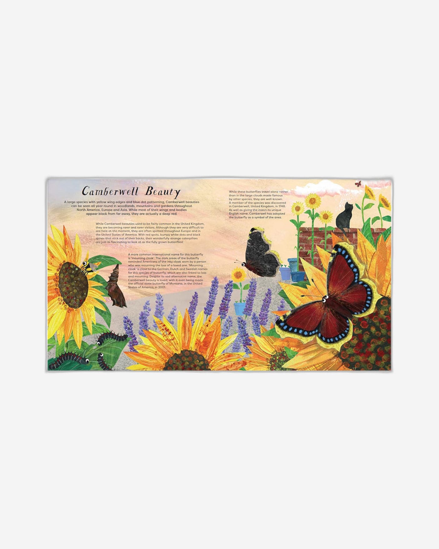 National Trust: Butterfly Skies : Press out and learn about 20 beautiful butterflies