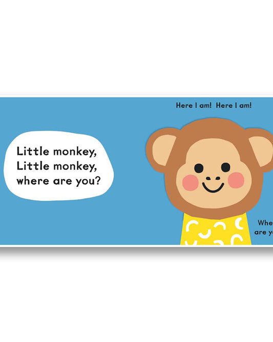 Baby Faces: Little Tiger, Where Are You?