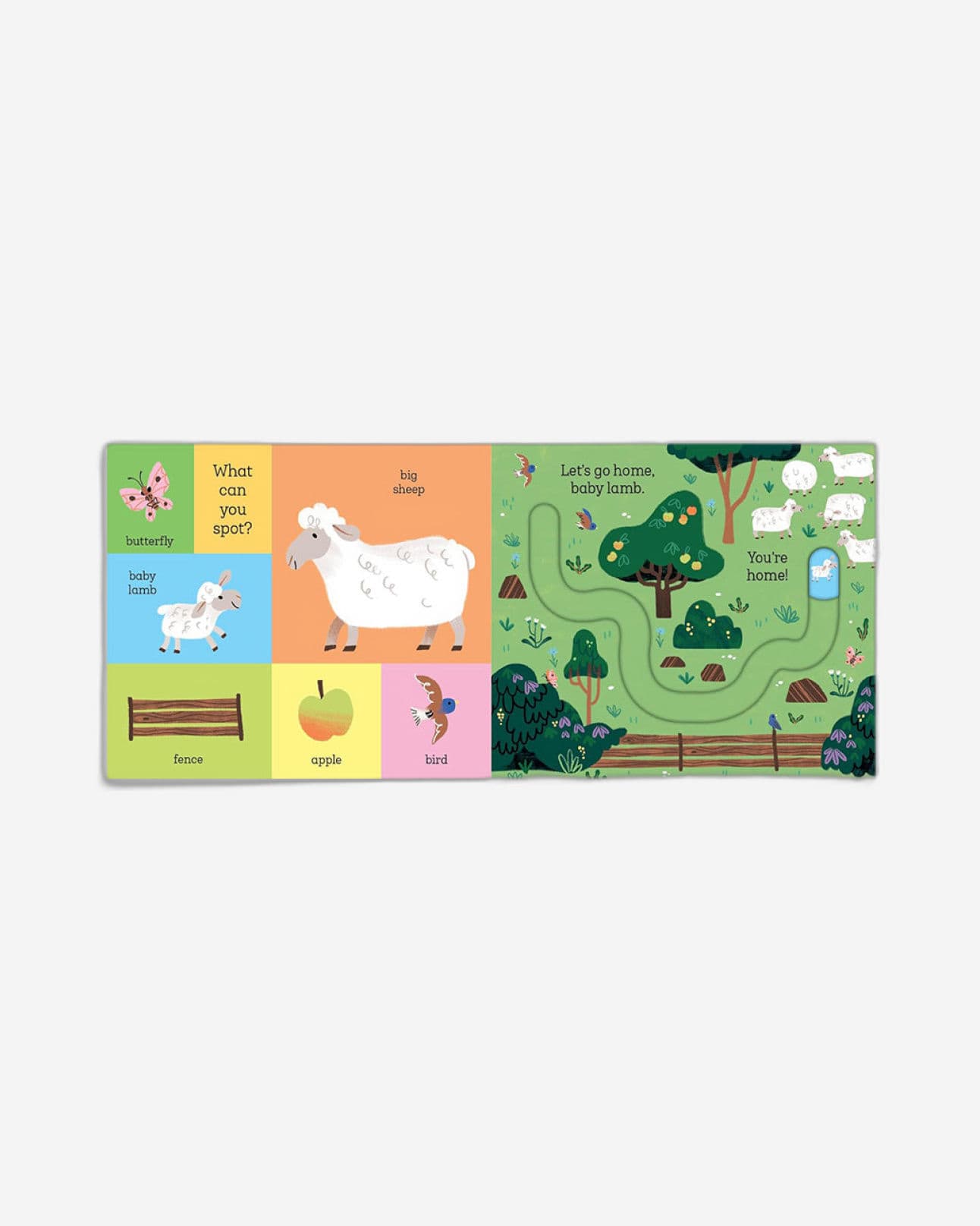 Let's Go Home, Baby Chick