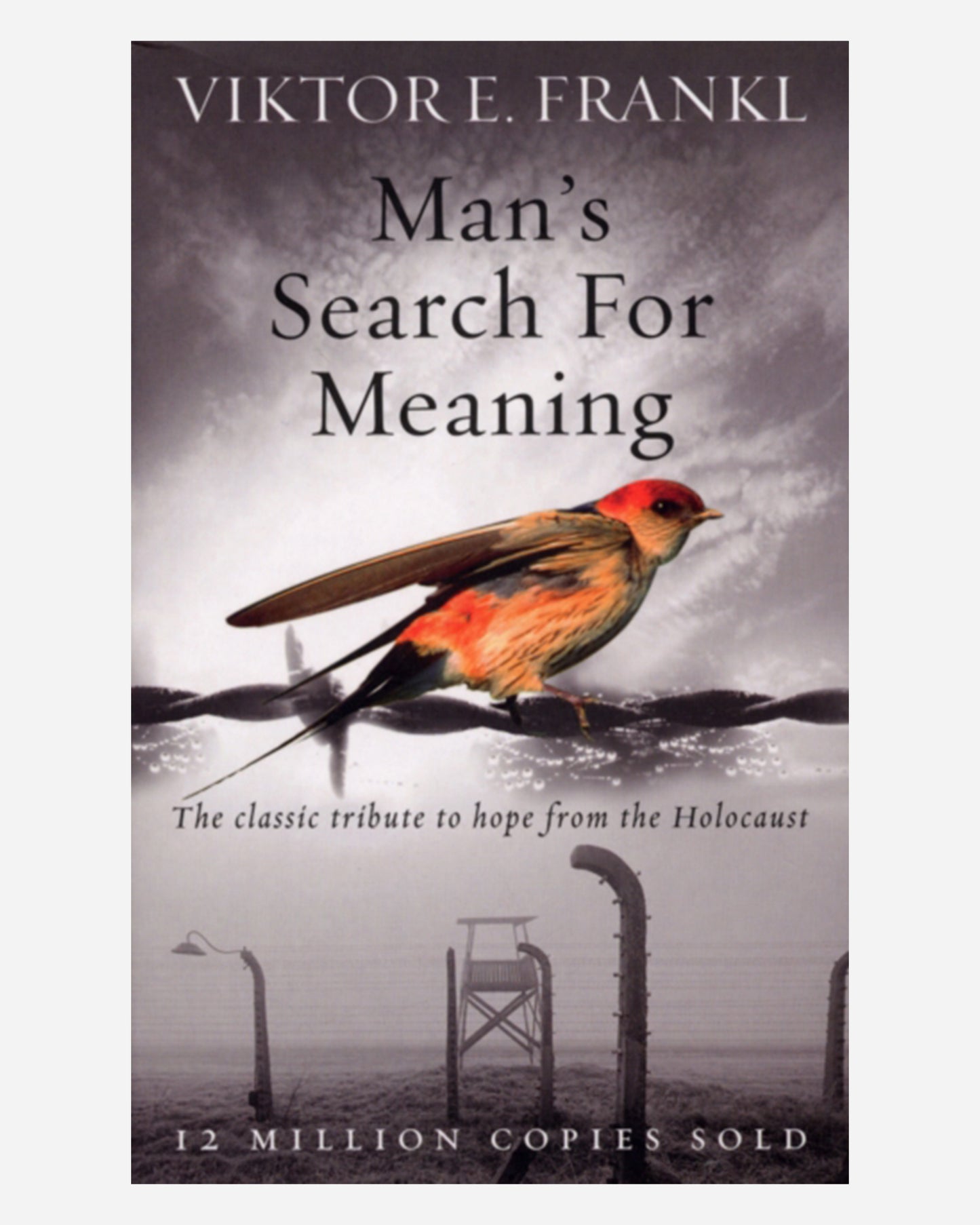 Man's Search For Meaning