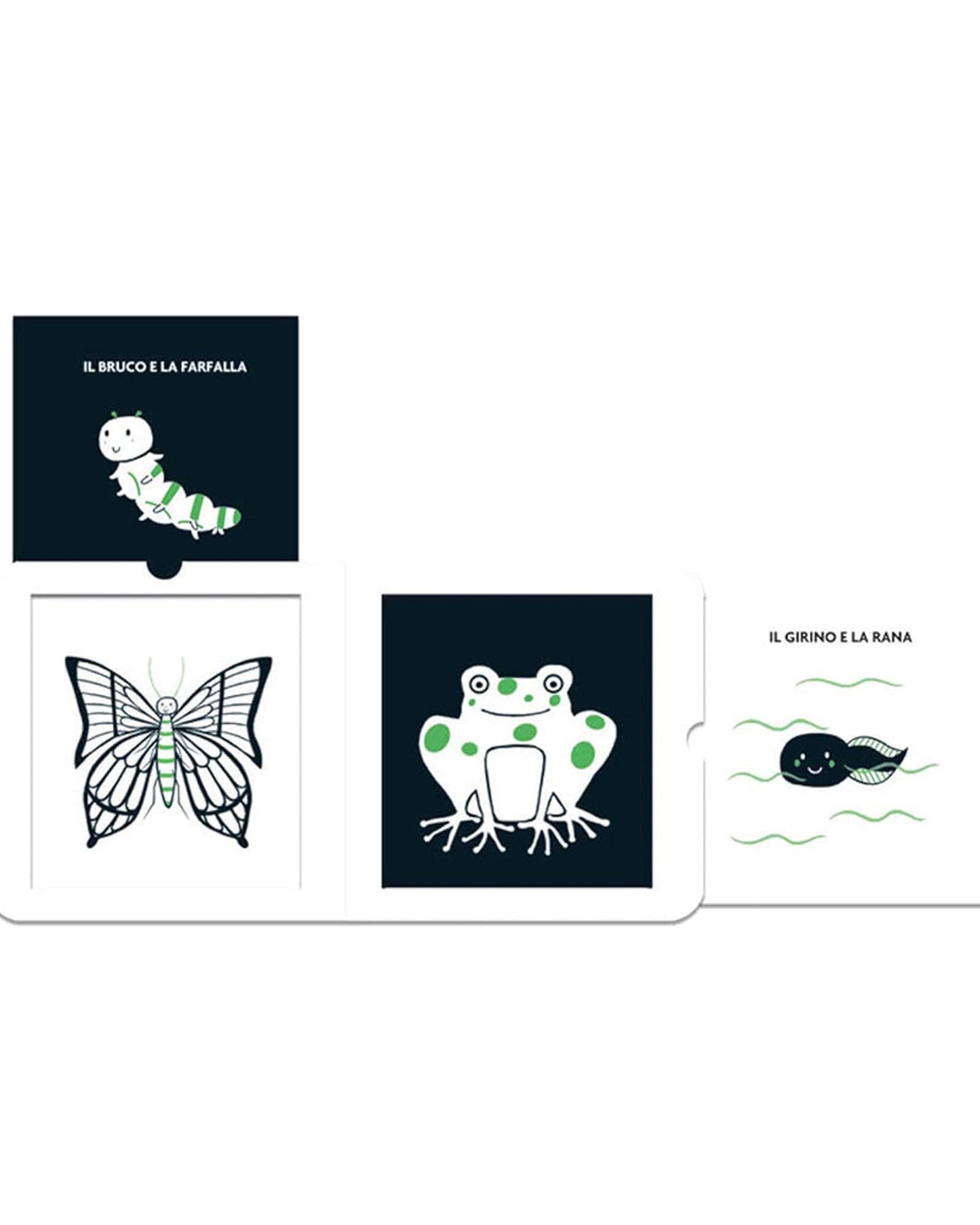 Growing Up (Black & White Books: Visual Stimulation for Babies)