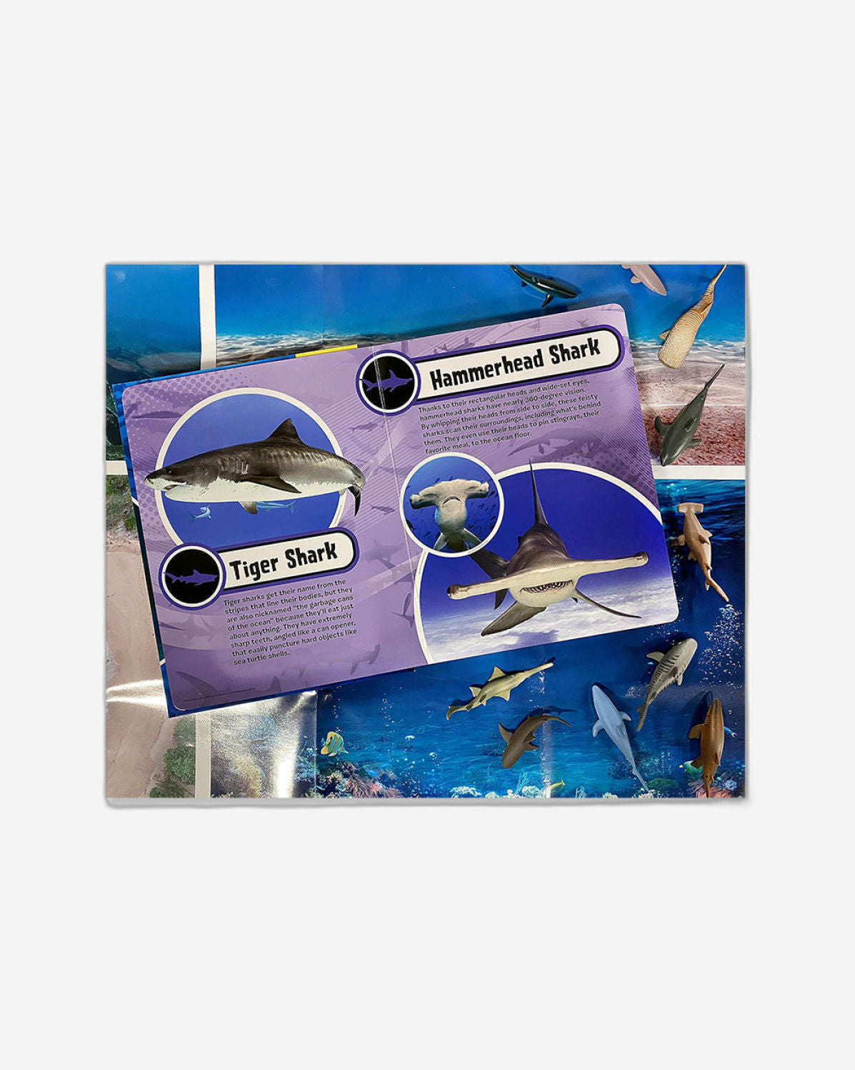 World of Sharks My Busy Book