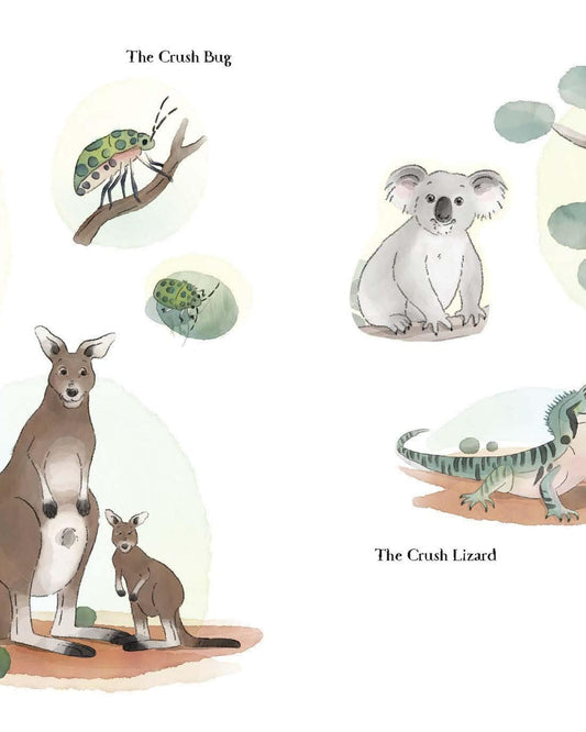 Kangaroo Crush Colouring Book (The Crush Series)