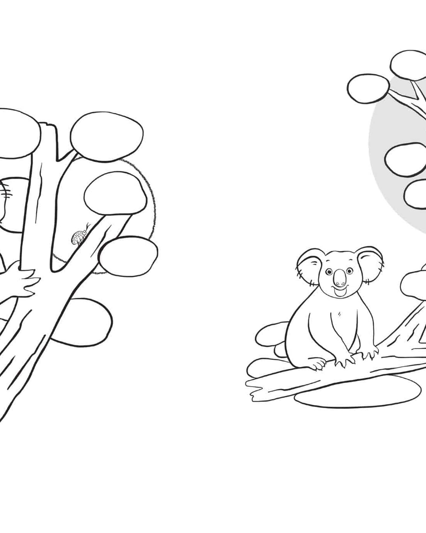 Kangaroo Crush Colouring Book (The Crush Series)