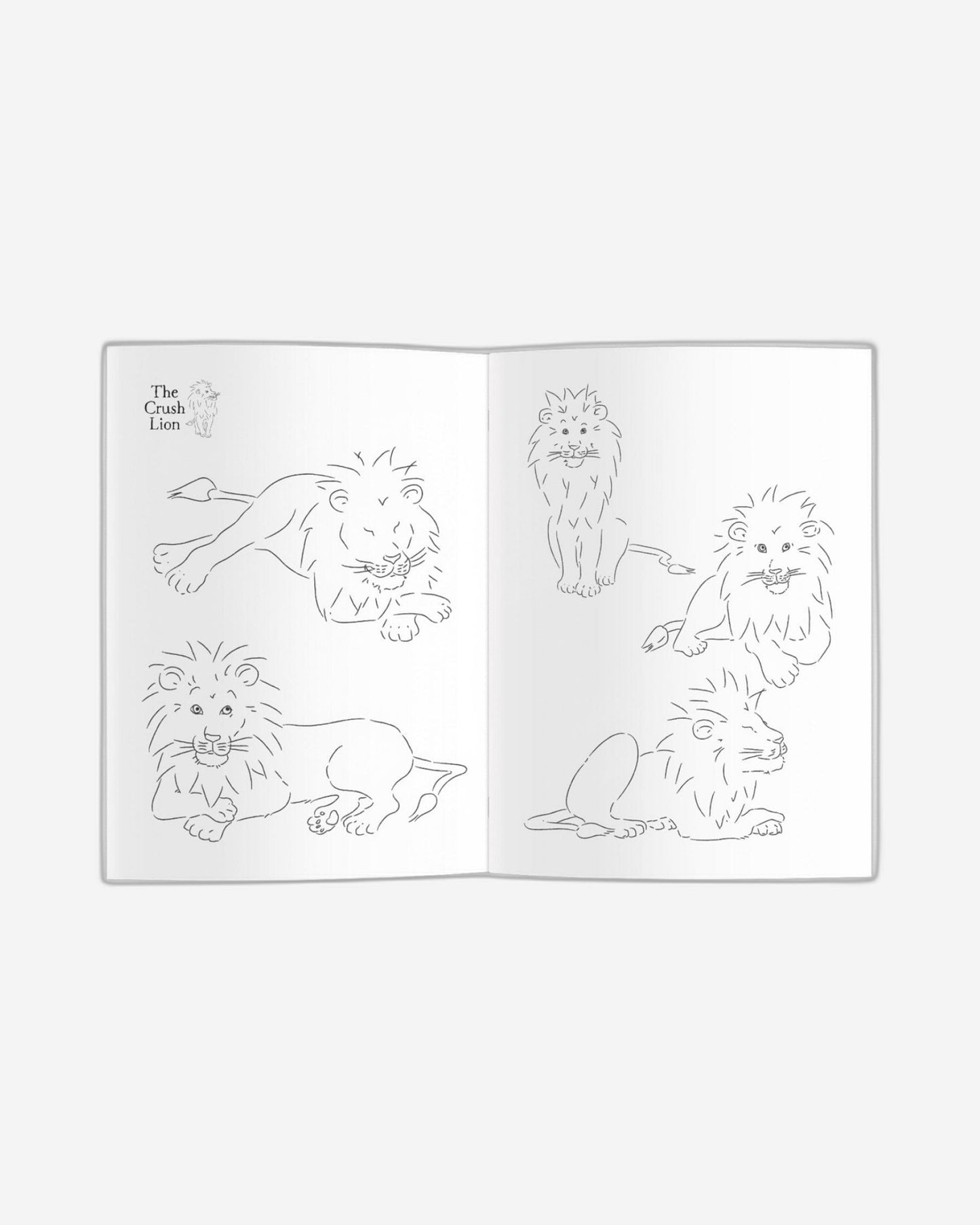 Monkey Crush Colouring Book (The Crush Series)