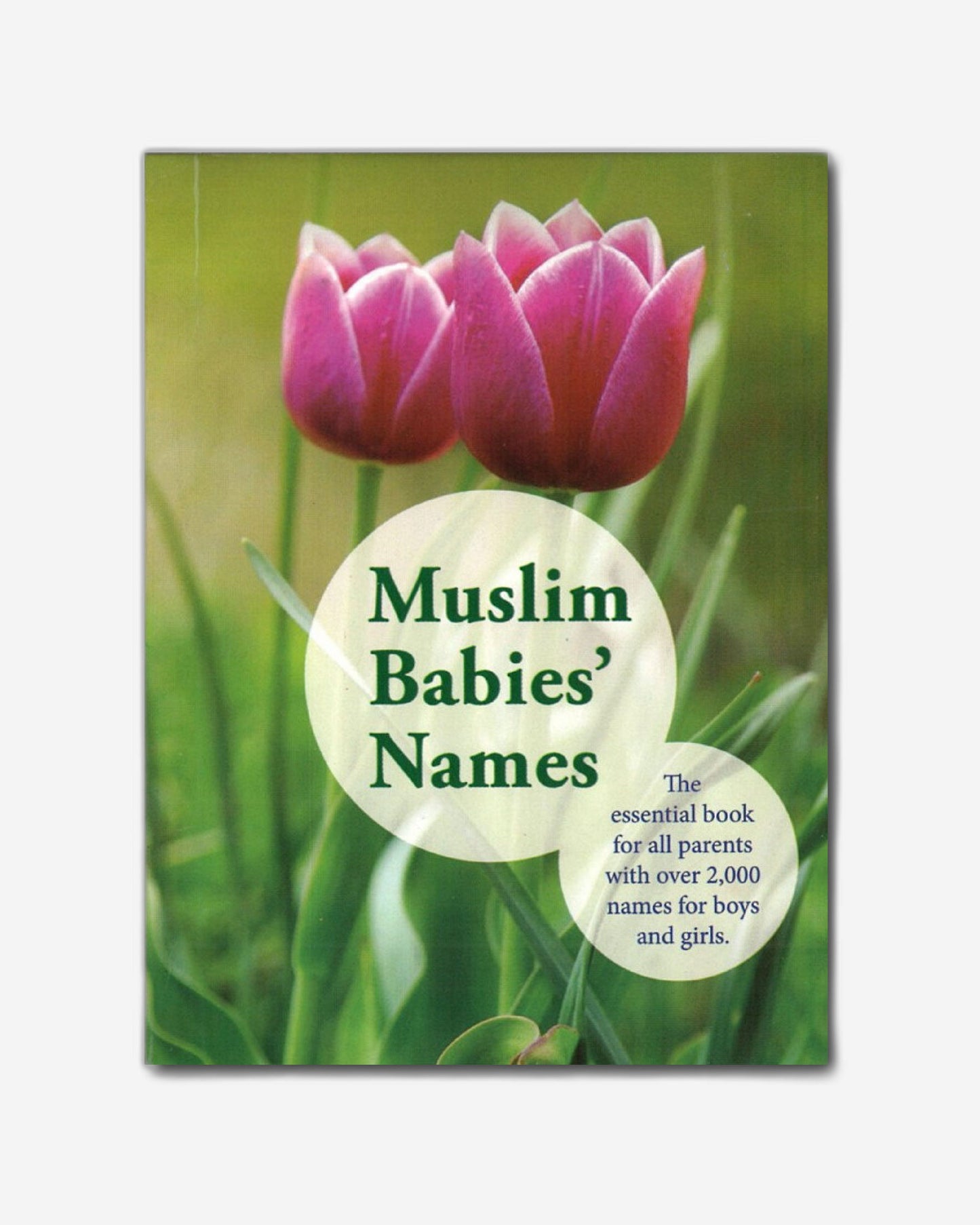Muslim Baby Name