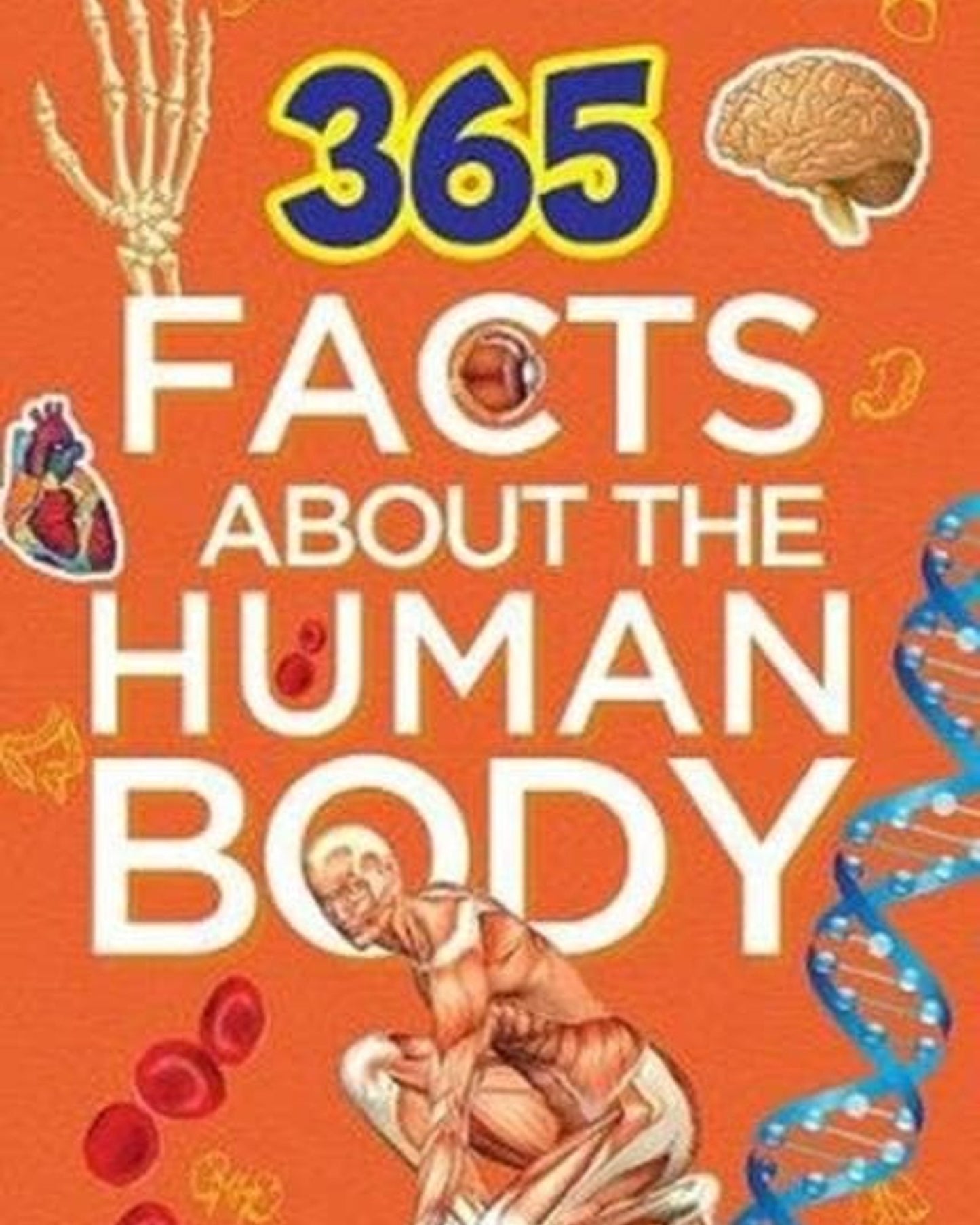 365 Facts About The Human Body
