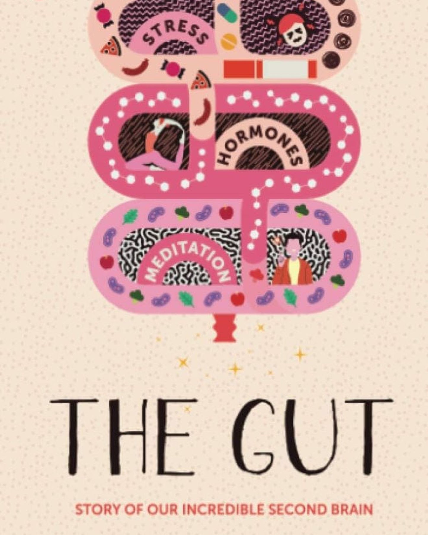 The Gut : Story Of Our Incredible Second Brain