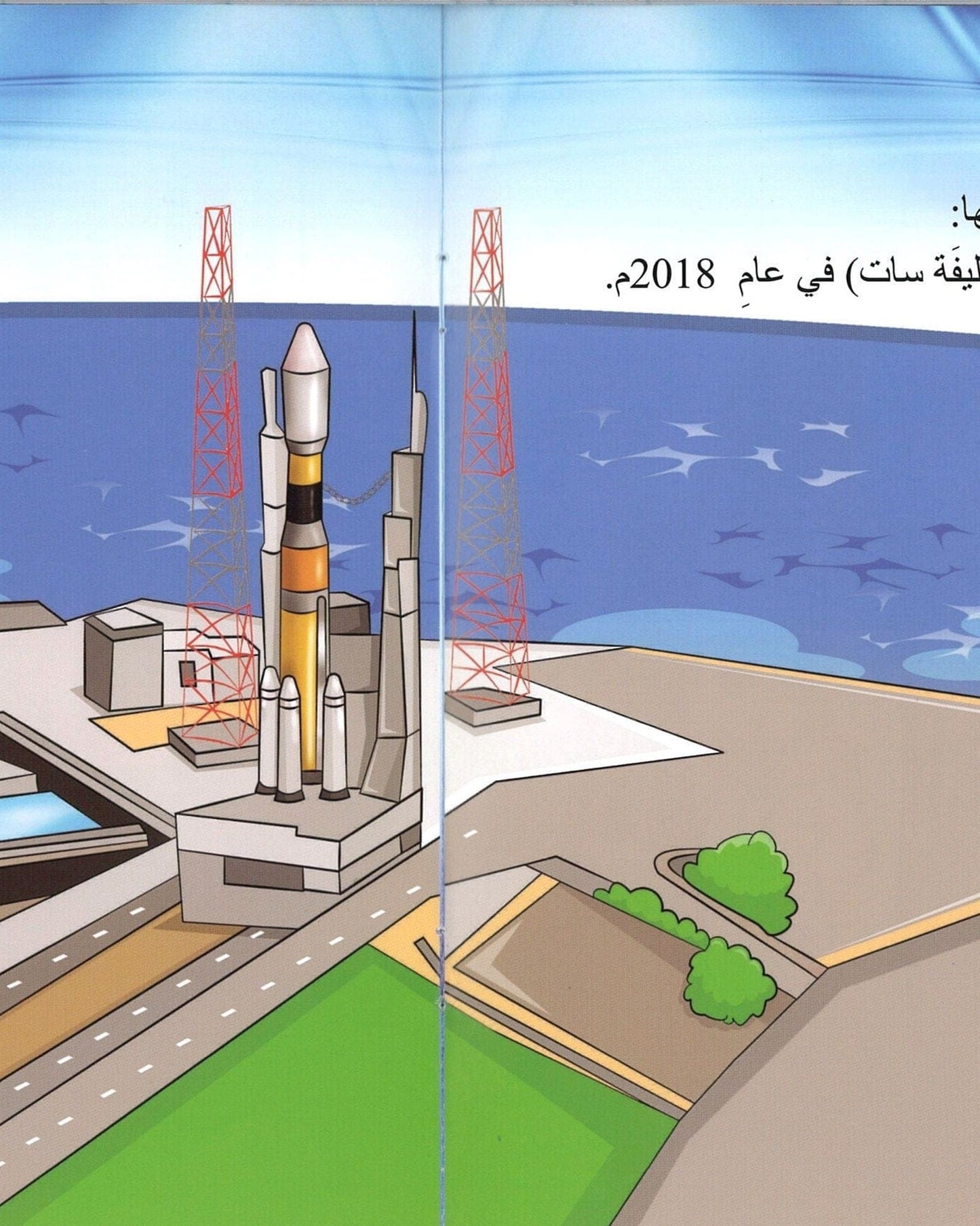 Zayed's Ambition