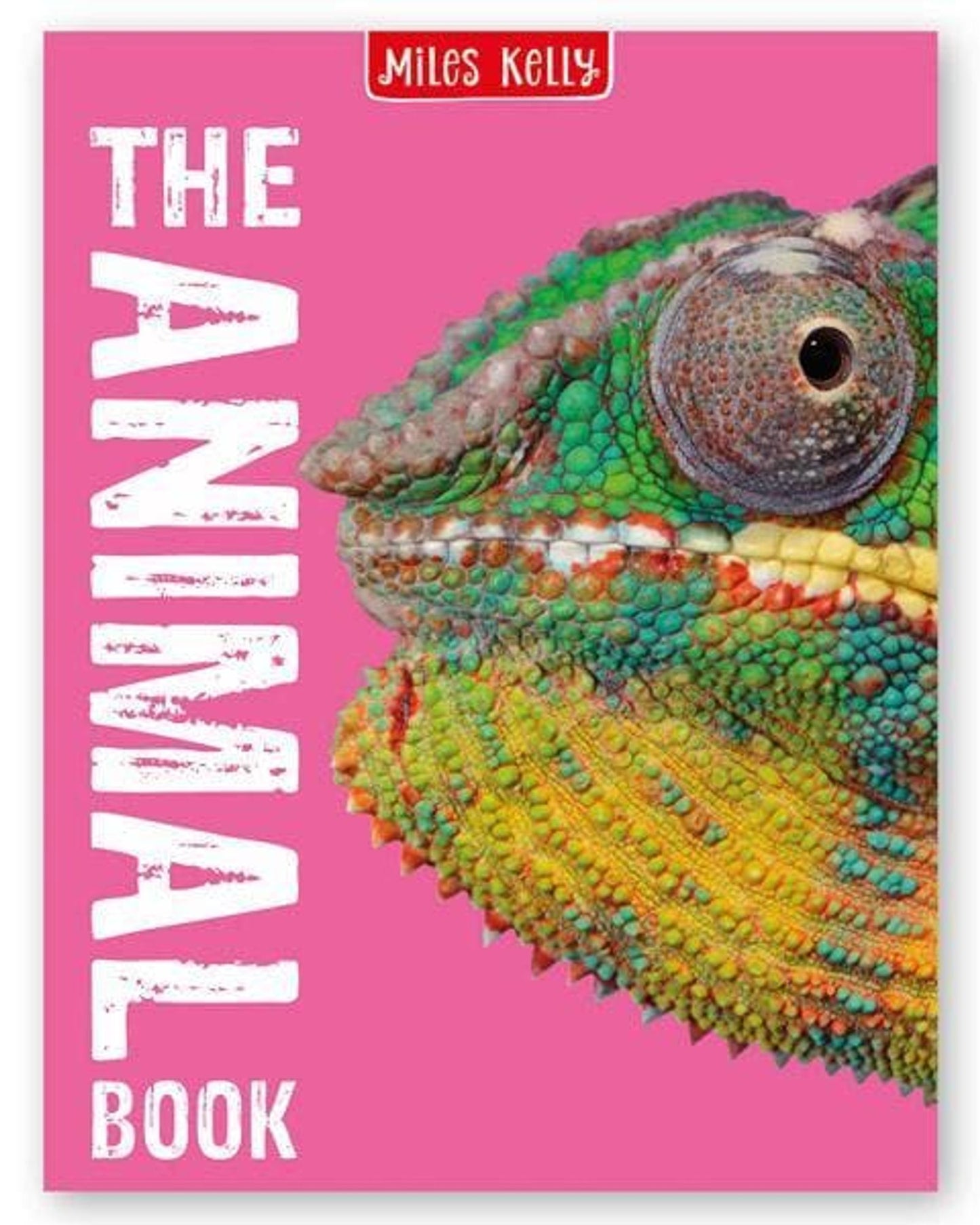 The Animal Book-Miles Kelly