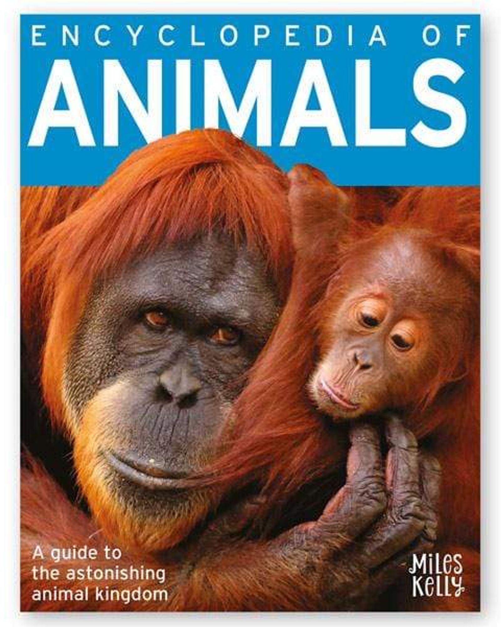Encyclopedia Of Animals-Miles Kelly
