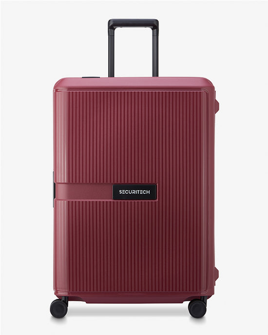 Delsey Paris Stone Hardcase 4Double Wheel Trolley Case