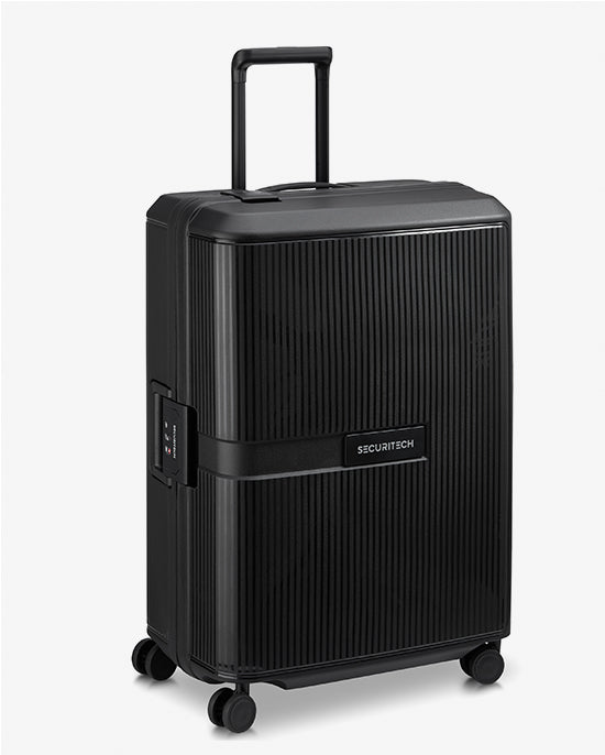 Delsey Paris Stone Hardcase 4Double Wheel Trolley Case