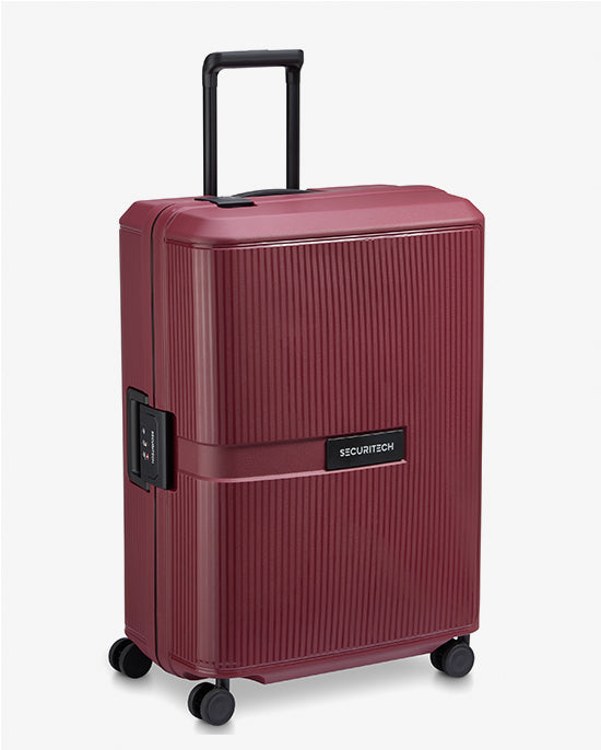 Delsey Paris Stone Hardcase 4Double Wheel Trolley Case