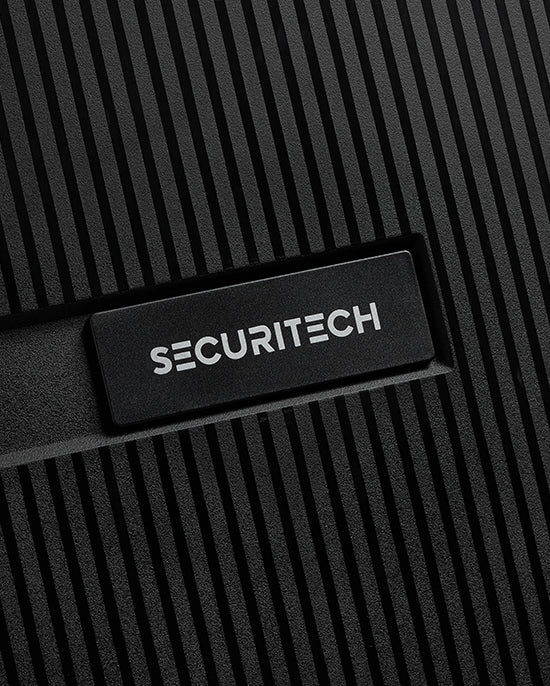 Delsey Paris Stone Hardcase 4Double Wheel Trolley Case