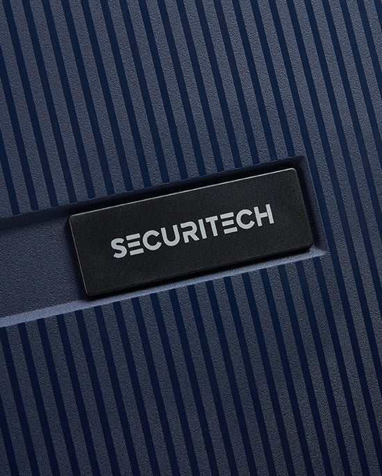 Delsey Paris Stone Hardcase 4Double Wheel Trolley Case