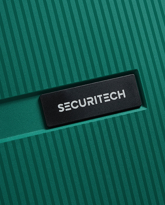 Delsey Paris Stone Hardcase 4Double Wheel Trolley Case