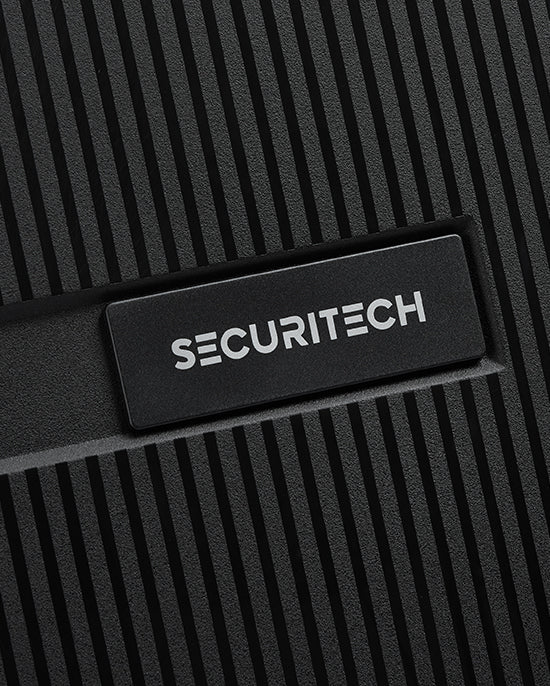 Delsey Paris Stone Hardcase 4Double Wheel Trolley Case