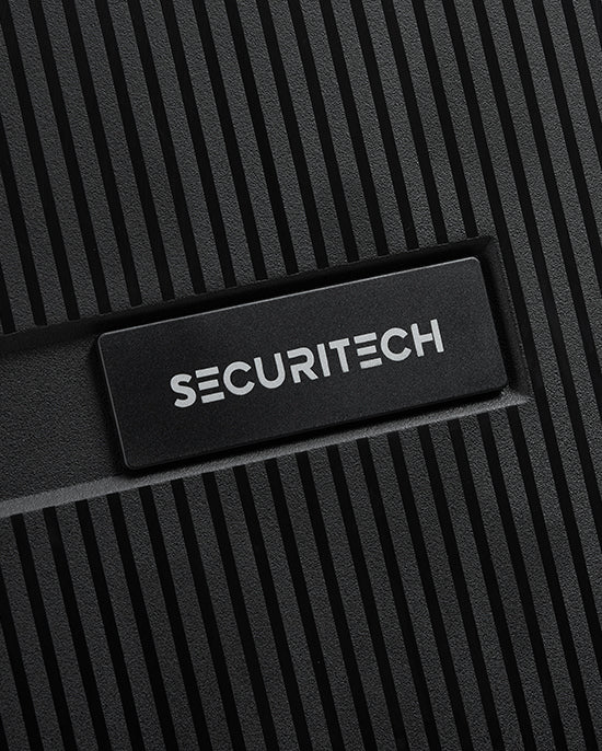 Delsey Paris Stone Hardcase 4Double Wheel Trolley Case