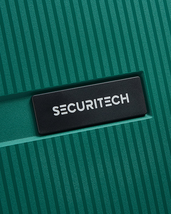 Delsey Paris Stone Hardcase 4Double Wheel Trolley Case