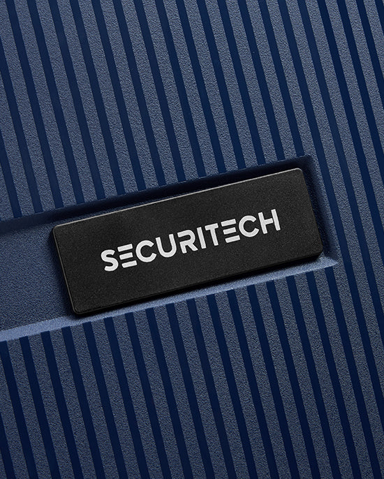 Delsey Paris Stone Hardcase 4Double Wheel Trolley Case