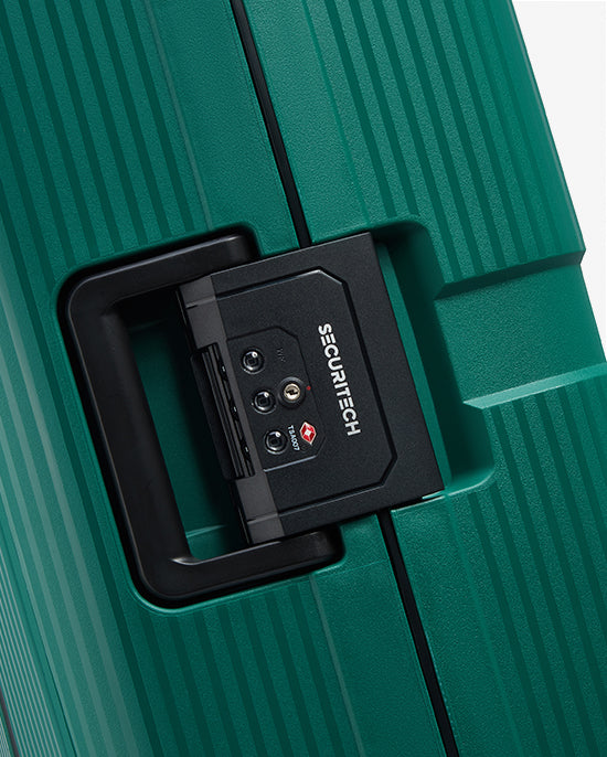 Delsey Paris Stone Hardcase 4Double Wheel Trolley Case