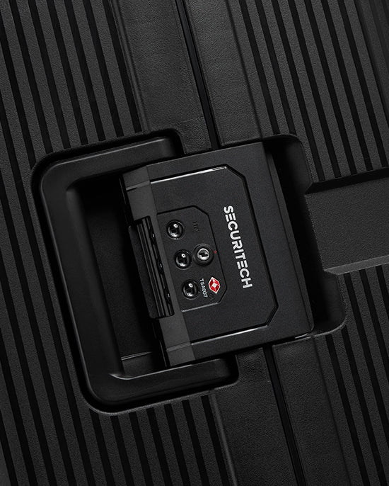 Delsey Paris Stone Hardcase 4Double Wheel Trolley Case