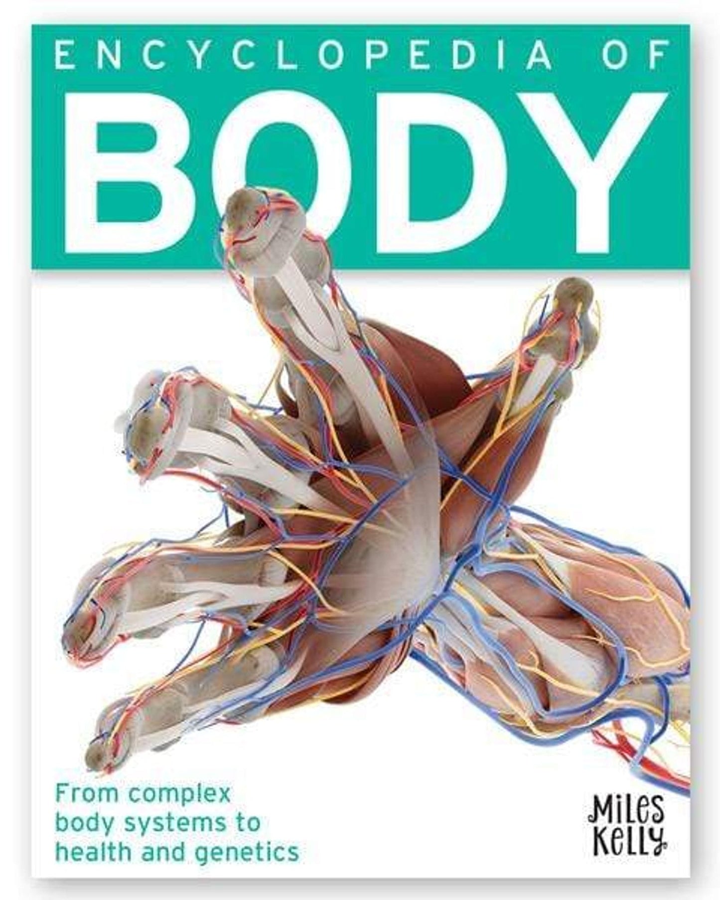 Encyclopedia Of Body-Miles Kelly