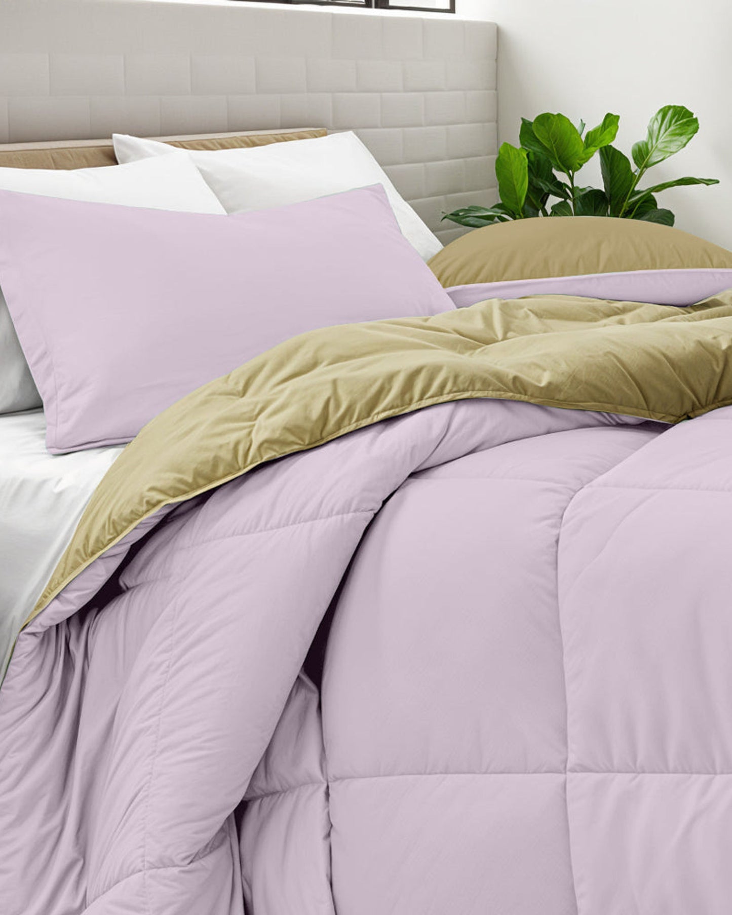 Cotton Home Comforter Set 3Pc Light Purple