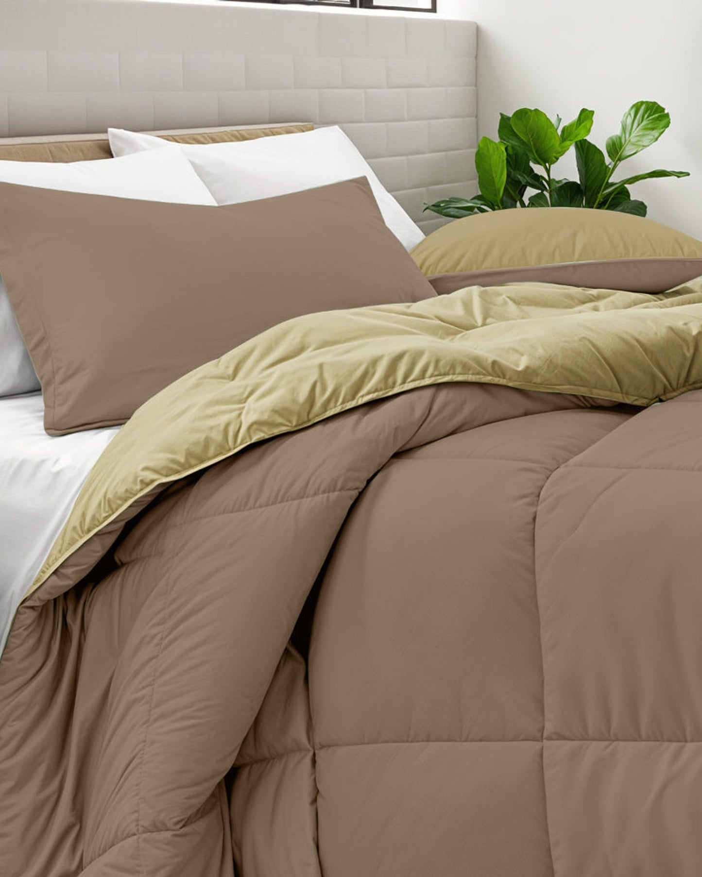 Cotton Home Comforter Set 3Pc Golden