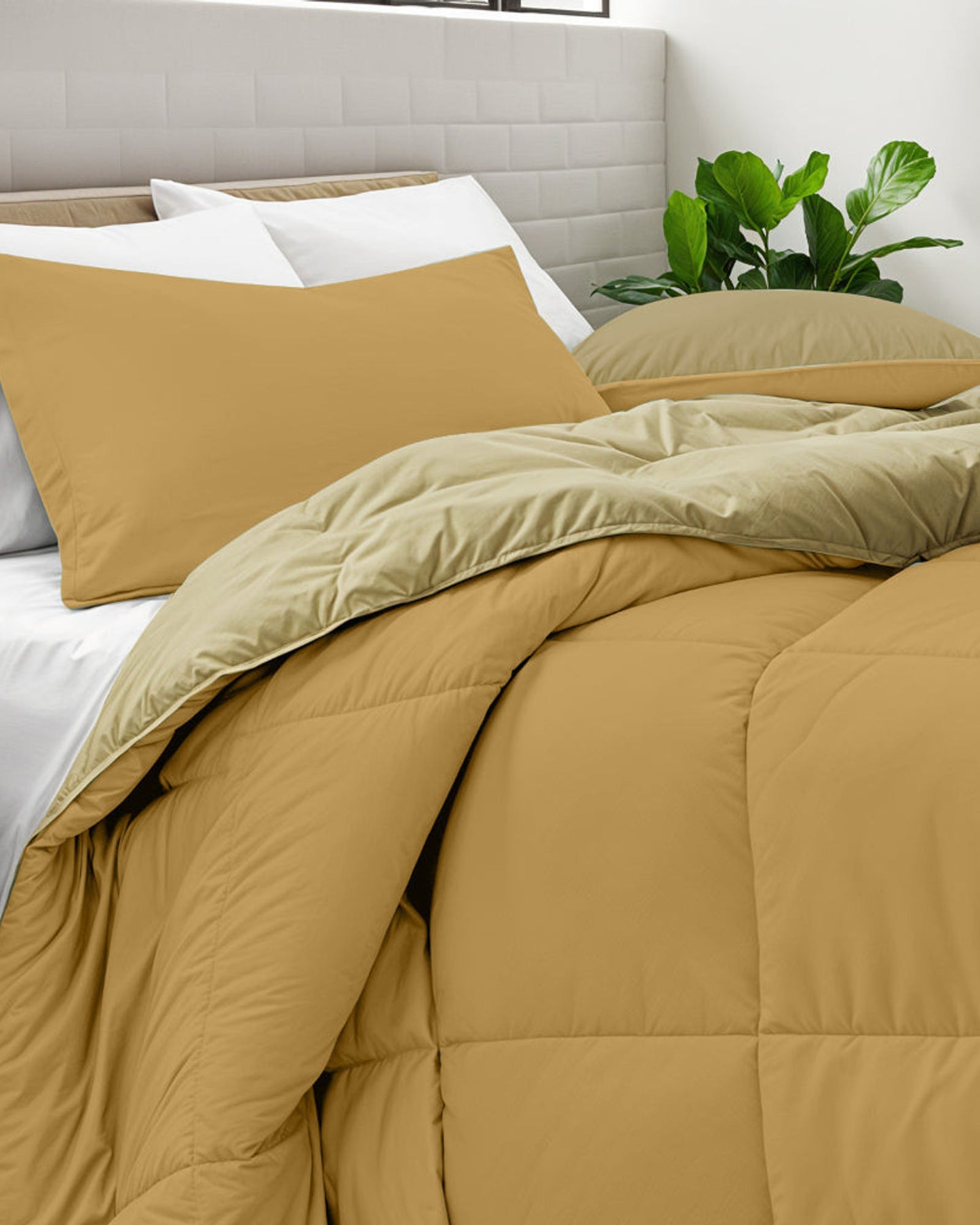 Cotton Home Comforter Set 3Pc Gold