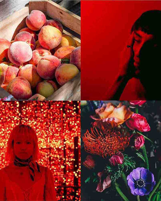 Colour Me Perfumer's Choice Phoenix No.4 EDP 83ml