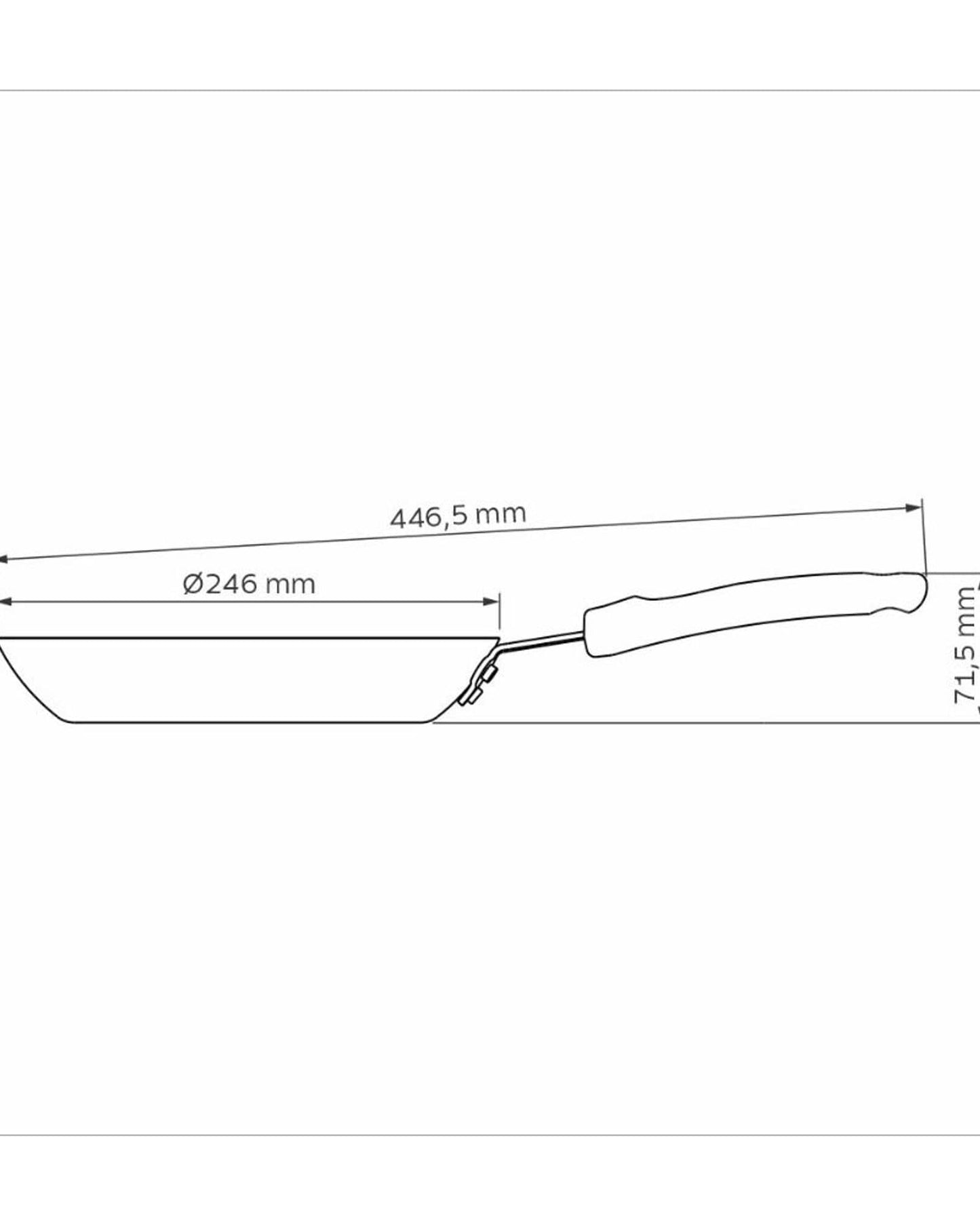 Tramontina Professional Frying Pan 1.3L