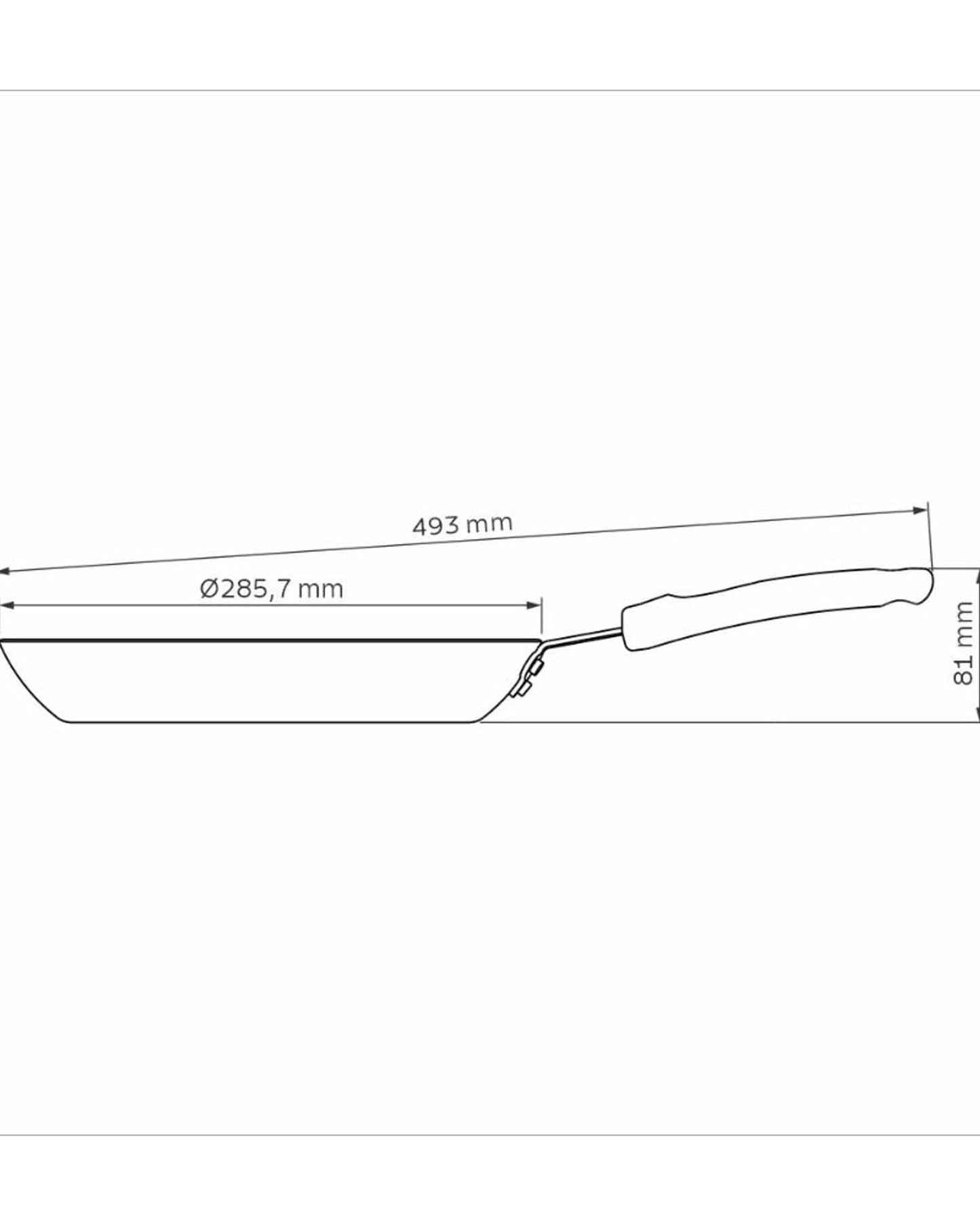 Tramontina Professional Frying Pan 2L