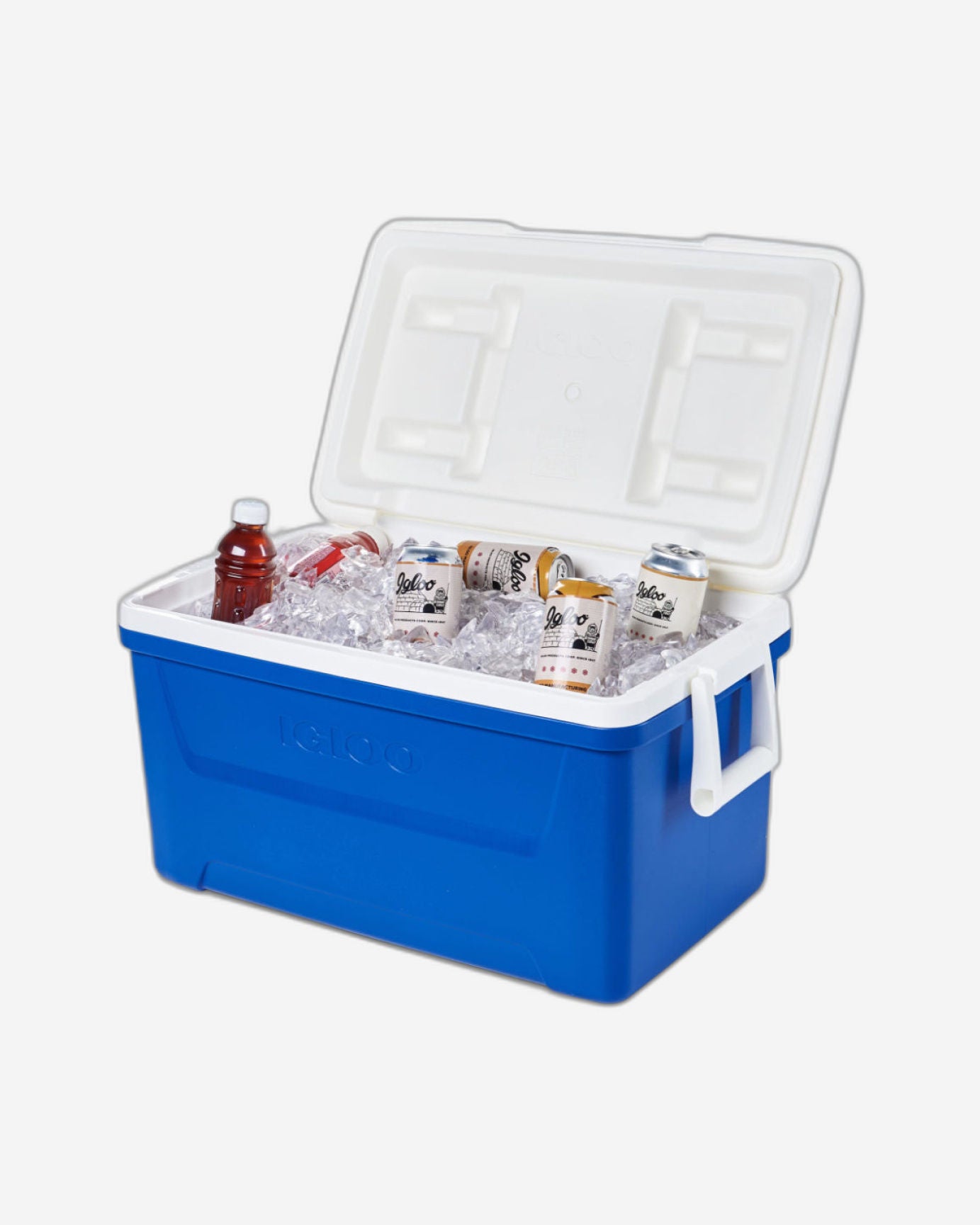 00050061-Igloo-Laguna 48 Cooler Box - Majestic Blue