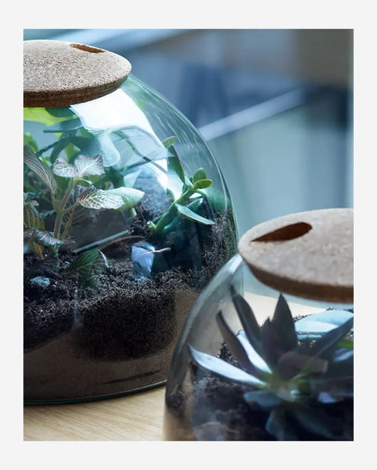 LSA Recycled Canopy Closed Garden H16.5cm